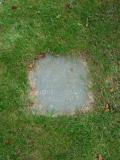 image of grave number 199507